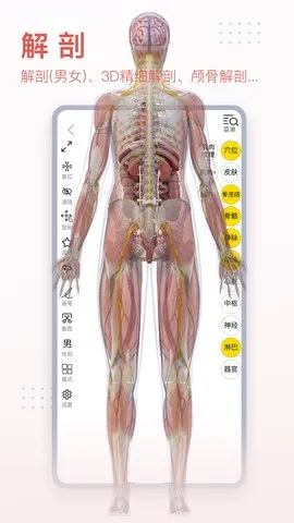 3Dbody����2026���°汾v8.8.91 ��Ѱ�