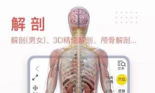 3Dbody����2025���°汾