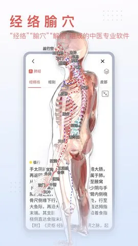 3Dbody����2026���°汾v8.8.91 ��Ѱ�