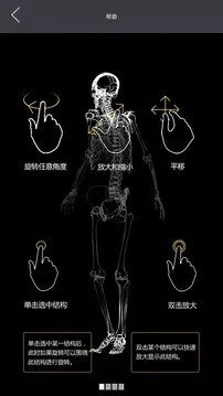 3Dbody����2026���°汾v8.8.91 ��Ѱ�