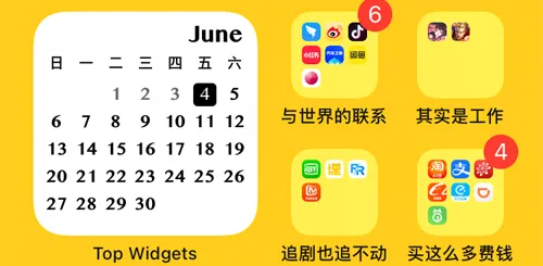 TOP WIDGETS(����С���)